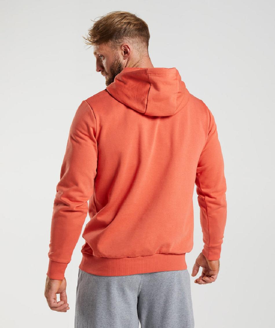 Sudadera Con Capucha Gymshark Sharkhead Infill Hombre Rojas | CO 3605TCE